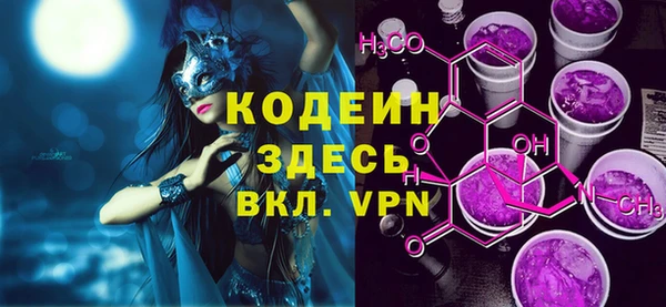 apvp Няндома