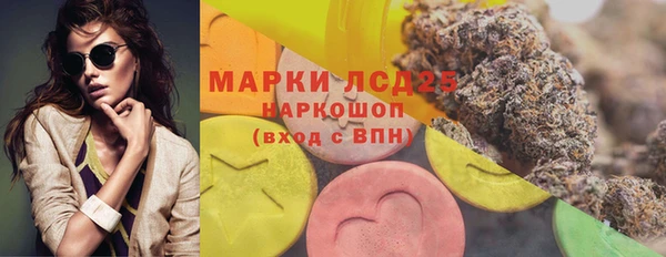 apvp Няндома