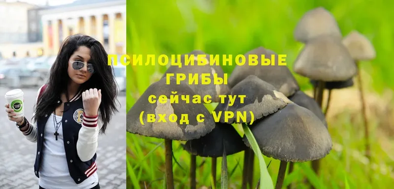 Галлюциногенные грибы Magic Shrooms  Людиново 