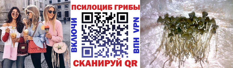 Галлюциногенные грибы Psilocybine cubensis  hydra вход  Людиново 