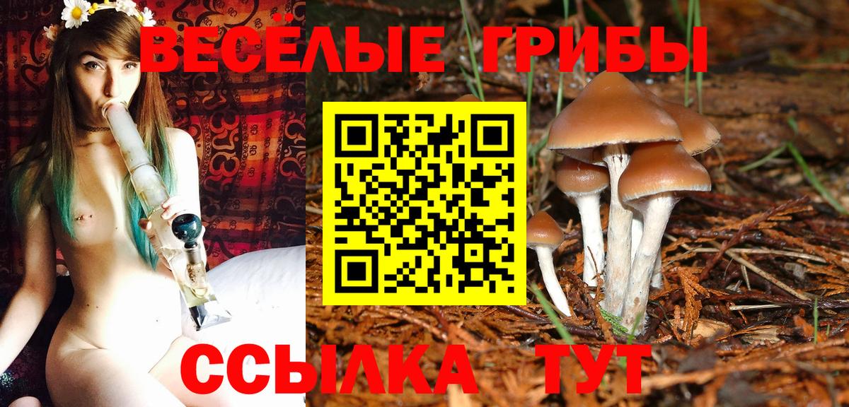 Псилоцибиновые грибы Psilocybine cubensis  Вход с VPN  Людиново 