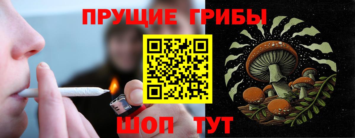 Псилоцибиновые грибы MAGIC MUSHROOMS Людиново
